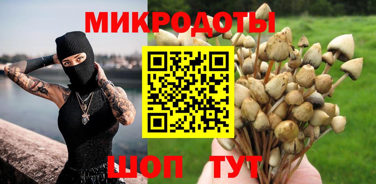 Галлюциногенные грибы MAGIC MUSHROOMS  Вход с VPN  Йошкар-Ола 
