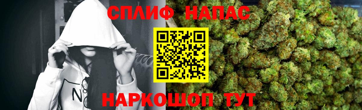 Канабис конопля  Бошки марихуана сатива  Конопля марихуана  Йошкар-Ола  Вход с VPN  Канабис план 